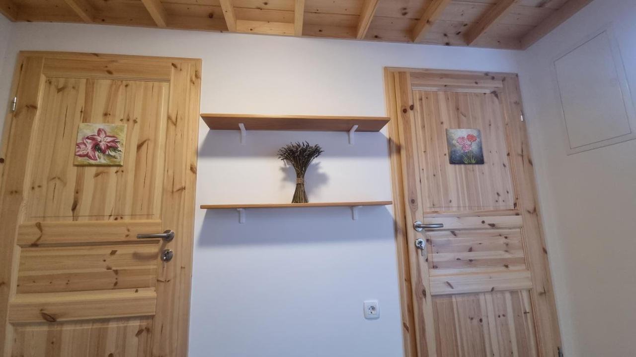 Grajski Oddih سيركلجي نا جورينجسكيم المظهر الخارجي الصورة